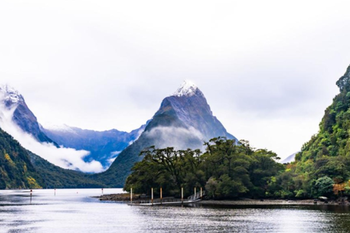 New Zealand Visa Assistance in Amritsar